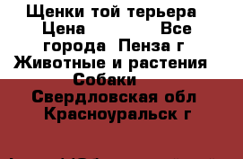 Щенки той терьера › Цена ­ 10 000 - Все города, Пенза г. Животные и растения » Собаки   . Свердловская обл.,Красноуральск г.